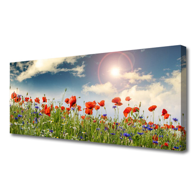 Leinwand-Bilder Wiese Blumen Natur