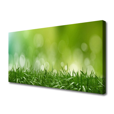 Leinwand-Bilder Gras Natur