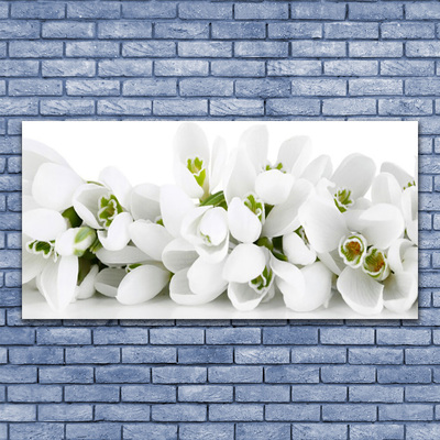 Leinwand-Bilder Blumen Pflanzen