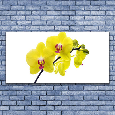 Leinwand-Bilder Blumen Pflanzen