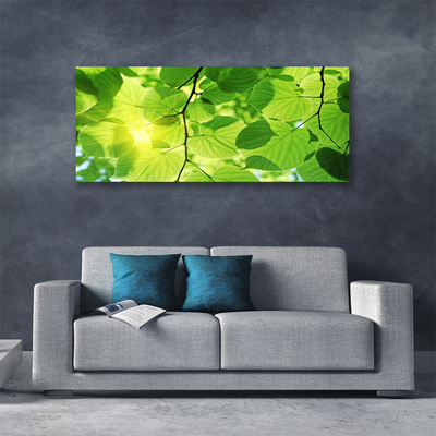 Leinwand-Bilder Blätter Pflanzen