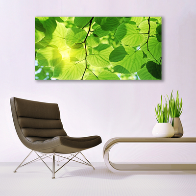 Leinwand-Bilder Blätter Pflanzen