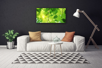 Leinwand-Bilder Blätter Pflanzen