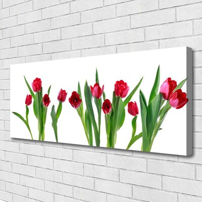 Leinwand-Bilder Tulpen Pflanzen