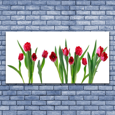 Leinwand-Bilder Tulpen Pflanzen