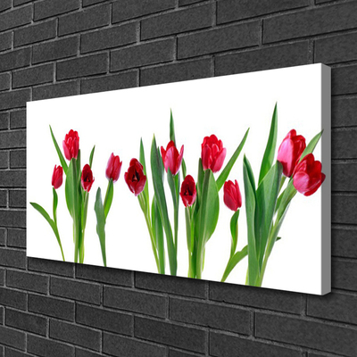 Leinwand-Bilder Tulpen Pflanzen