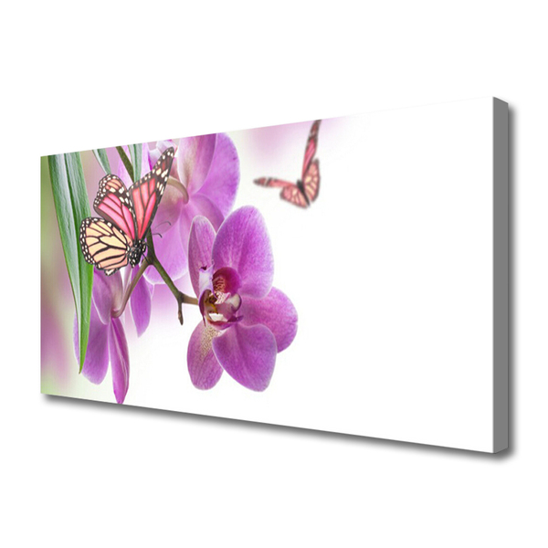 Leinwand-Bilder Schmetterlinge Blumen Natur