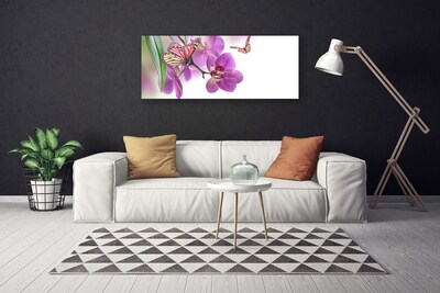 Leinwand-Bilder Schmetterlinge Blumen Natur