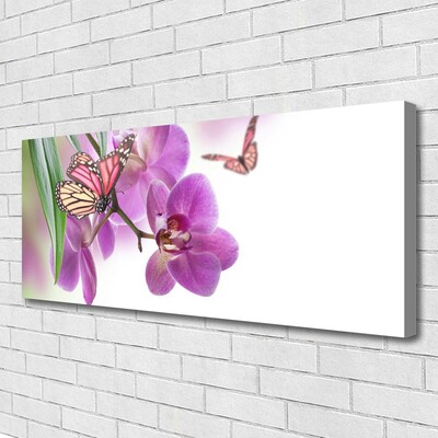 Leinwand-Bilder Schmetterlinge Blumen Natur