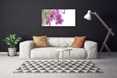 Leinwand-Bilder Schmetterlinge Blumen Natur