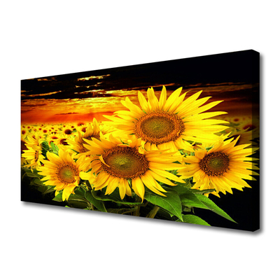 Leinwand-Bilder Sonnenblumen Pflanzen