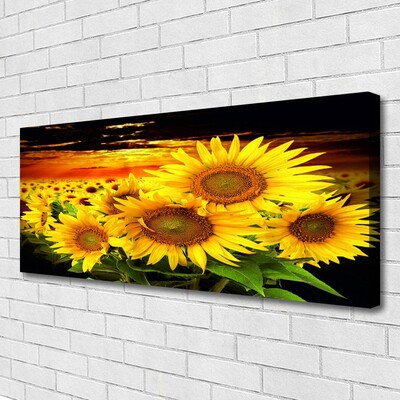 Leinwand-Bilder Sonnenblumen Pflanzen