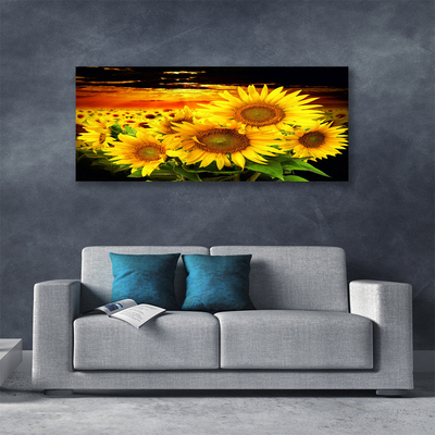 Leinwand-Bilder Sonnenblumen Pflanzen