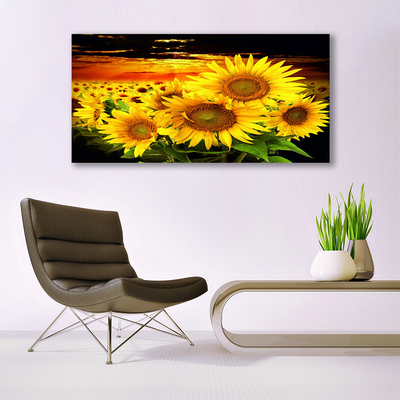 Leinwand-Bilder Sonnenblumen Pflanzen