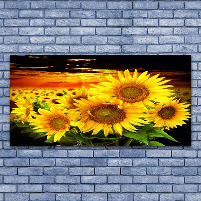 Leinwand-Bilder Sonnenblumen Pflanzen