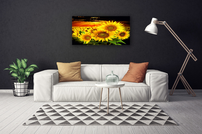 Leinwand-Bilder Sonnenblumen Pflanzen