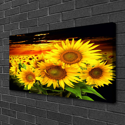 Leinwand-Bilder Sonnenblumen Pflanzen