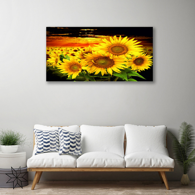 Leinwand-Bilder Sonnenblumen Pflanzen