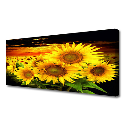 Leinwand-Bilder Sonnenblumen Pflanzen