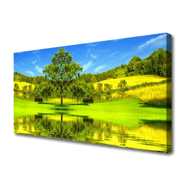 Leinwand-Bilder Wiese Baum Natur