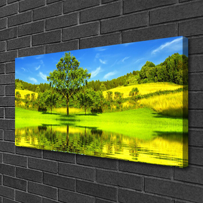 Leinwand-Bilder Wiese Baum Natur