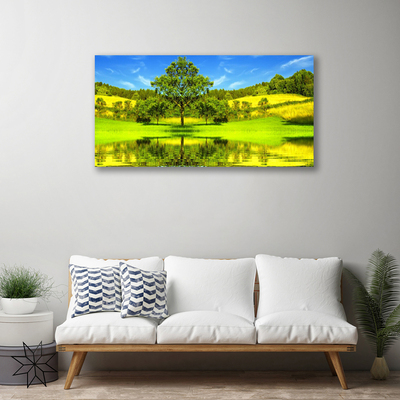 Leinwand-Bilder Wiese Baum Natur