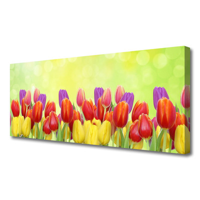 Leinwand-Bilder Tulpen Pflanzen