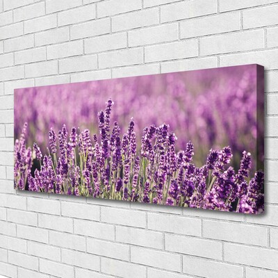 Leinwand-Bilder Blumen Pflanzen