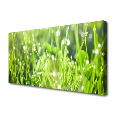 Leinwand-Bilder Gras Natur