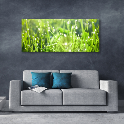 Leinwand-Bilder Gras Natur