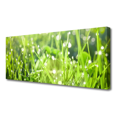 Leinwand-Bilder Gras Natur