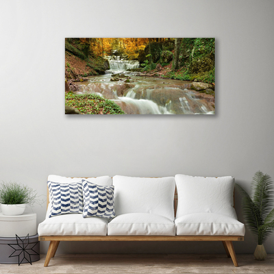 Leinwand-Bilder Wasserfall Wald Natur