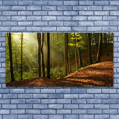 Leinwand-Bilder Wald Natur