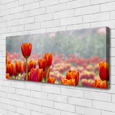 Leinwand-Bilder Tulpen Pflanzen