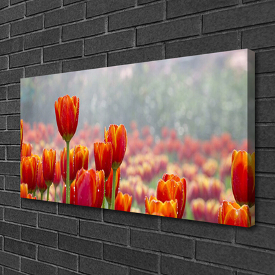 Leinwand-Bilder Tulpen Pflanzen