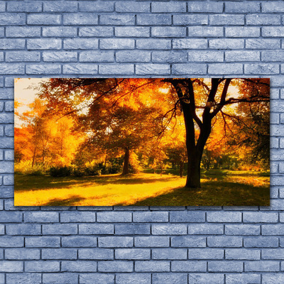 Leinwand-Bilder Bäume Natur