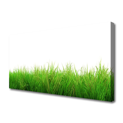 Leinwand-Bilder Gras Natur