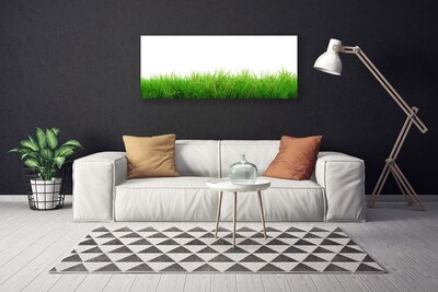 Leinwand-Bilder Gras Natur