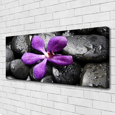 Leinwand-Bilder Blume Steine Kunst