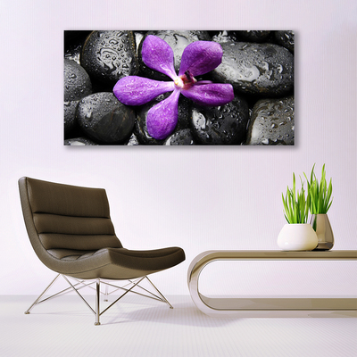 Leinwand-Bilder Blume Steine Kunst