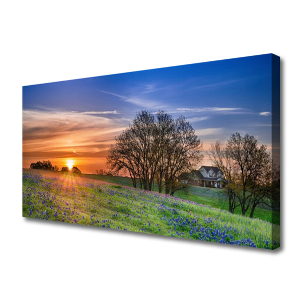 Leinwand-Bilder Wiese Sonne Landschaft