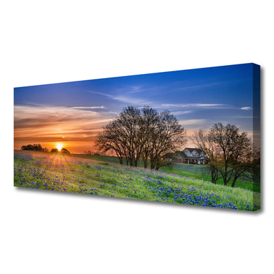 Leinwand-Bilder Wiese Sonne Landschaft