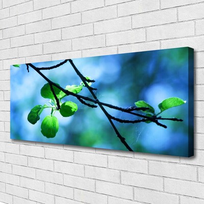 Leinwand-Bilder Zweig Blätter Pflanzen