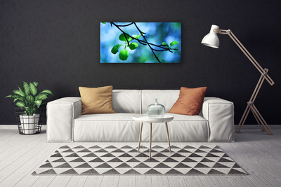 Leinwand-Bilder Zweig Blätter Pflanzen