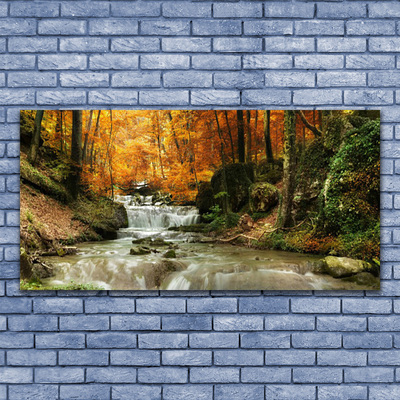 Leinwand-Bilder Wasserfall Wald Natur