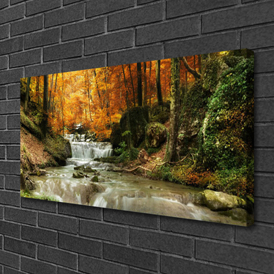 Leinwand-Bilder Wasserfall Wald Natur