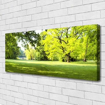 Leinwand-Bilder Gras Bäume Natur