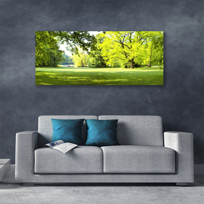 Leinwand-Bilder Gras Bäume Natur