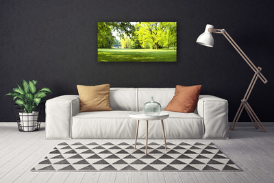 Leinwand-Bilder Gras Bäume Natur