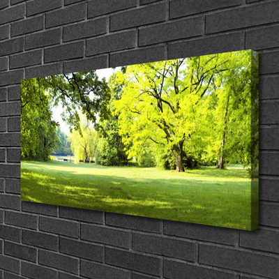 Leinwand-Bilder Gras Bäume Natur